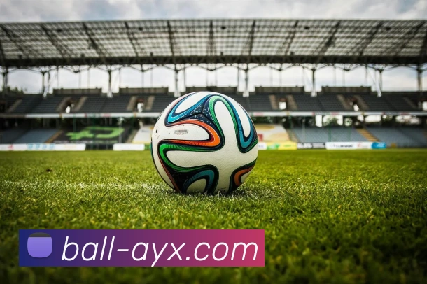 爱游戏平台生态图